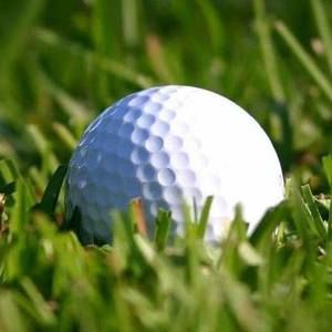 Meet your Posher, Bill